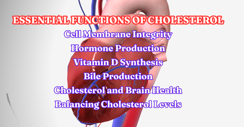 Balancing Cholesterol Levels